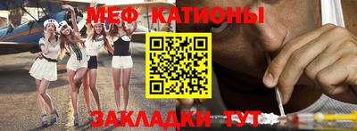 шишки Новодвинск