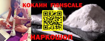 шишки Новодвинск