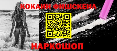 шишки Новодвинск