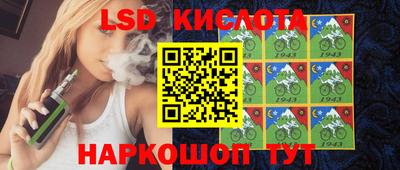 шишки Новодвинск