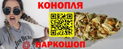 шишки Новодвинск