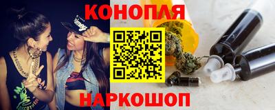 шишки Новодвинск