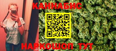 шишки Новодвинск
