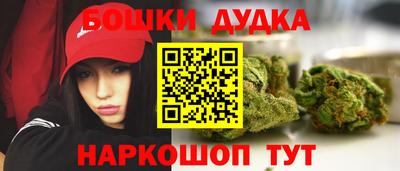 шишки Новодвинск
