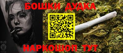 шишки Новодвинск