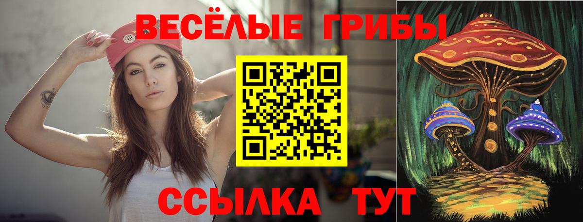 Тосно  Псилоцибиновые грибы Cubensis  Вход с VPN  Псилоцибиновые грибы мухоморы 