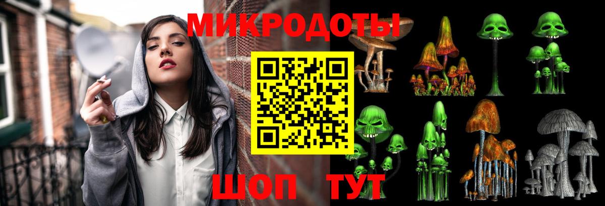 Псилоцибиновые грибы Psilocybine cubensis Тосно